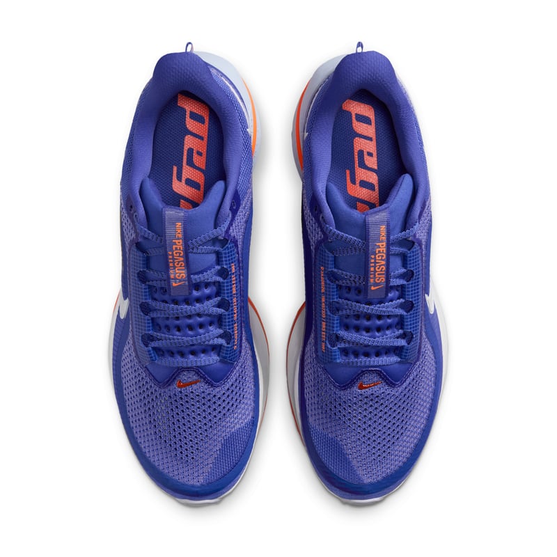 Nike Pegasus Premium HQ2592-400 04