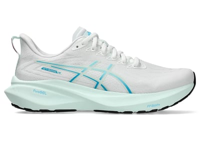 ASICS GT-2000 13 1012B666-101