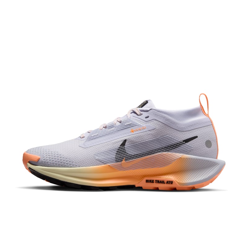 Nike Pegasus Trail 5 GORE-TEX FQ0912-011 01