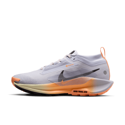 Nike Pegasus Trail 5 GORE-TEX FQ0912-011