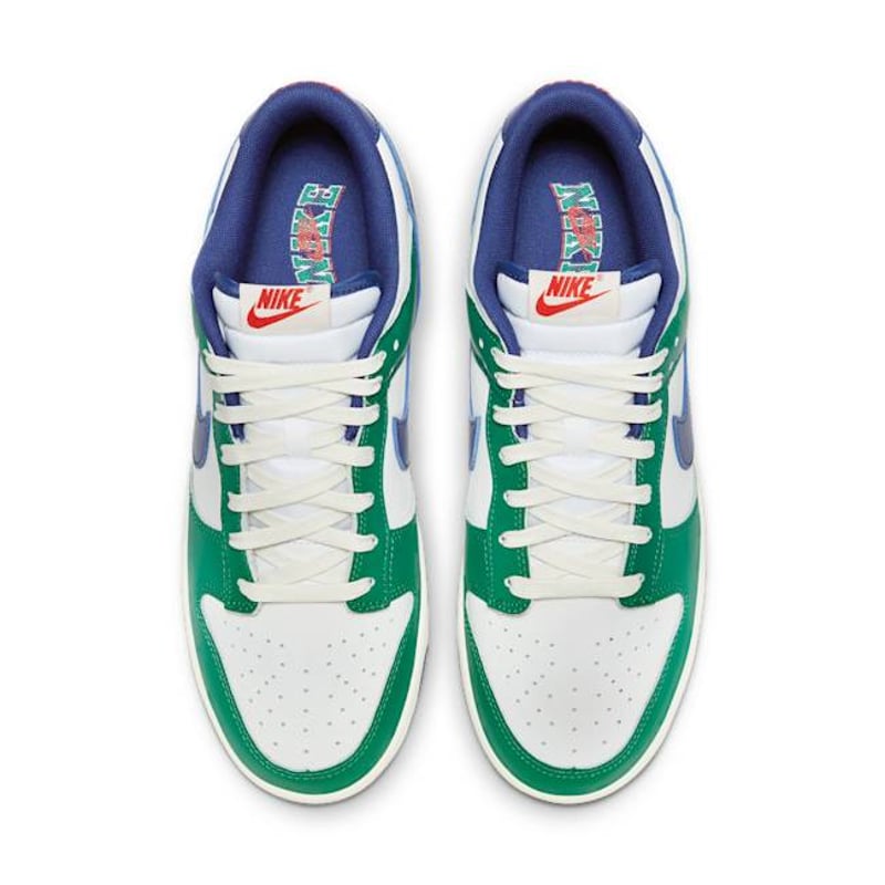 Nike Dunk Low Retro FQ6849-141 04