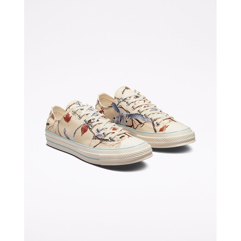 Converse Chuck 70 Low x Golf Wang A01798C 04