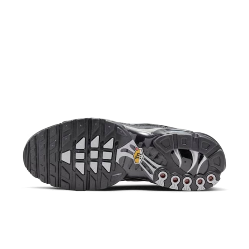 Nike Air Max Plus DX8971-001 02