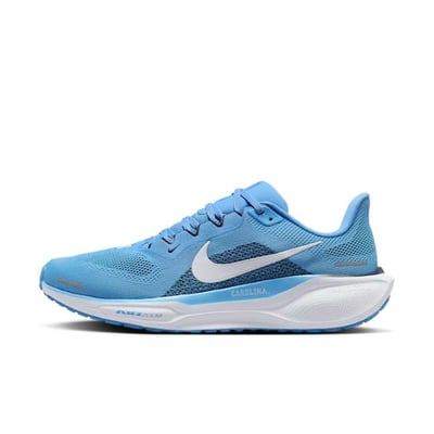 Nike Pegasus 41 FZ5149-400
