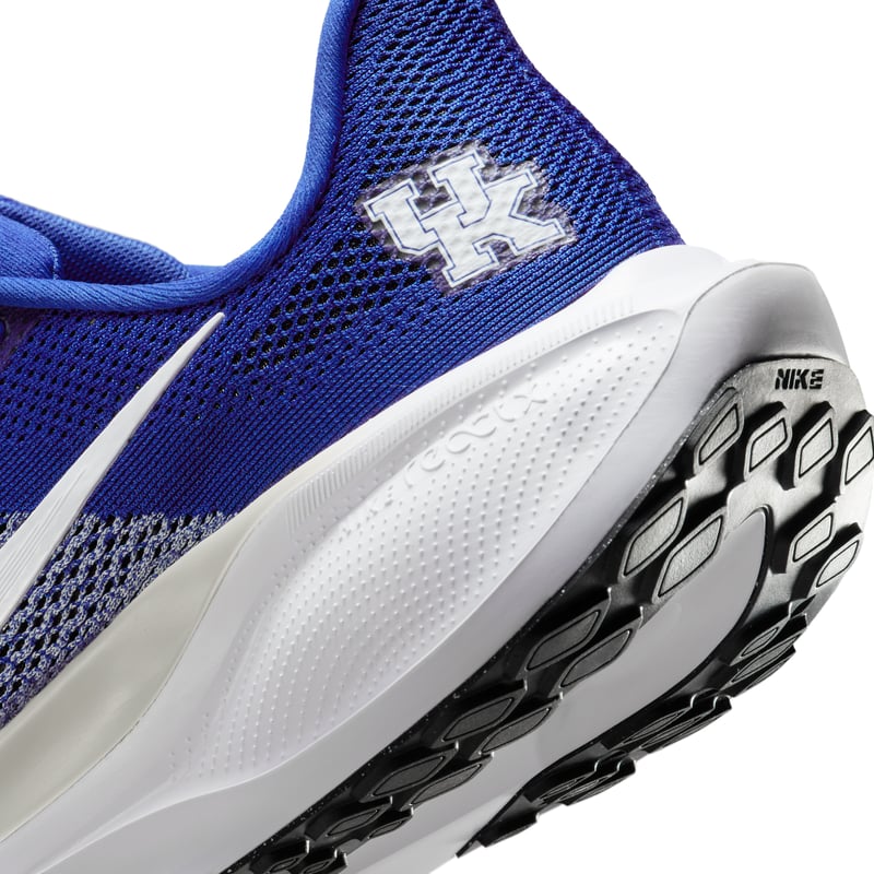 Nike Pegasus 41 IB3266-400 08