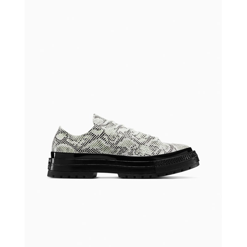 Converse Chuck 70 Low A15045C 01