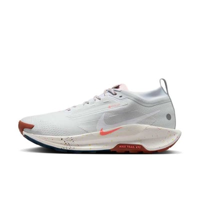 Nike Pegasus Trail 5 GORE-TEX FQ0908-009