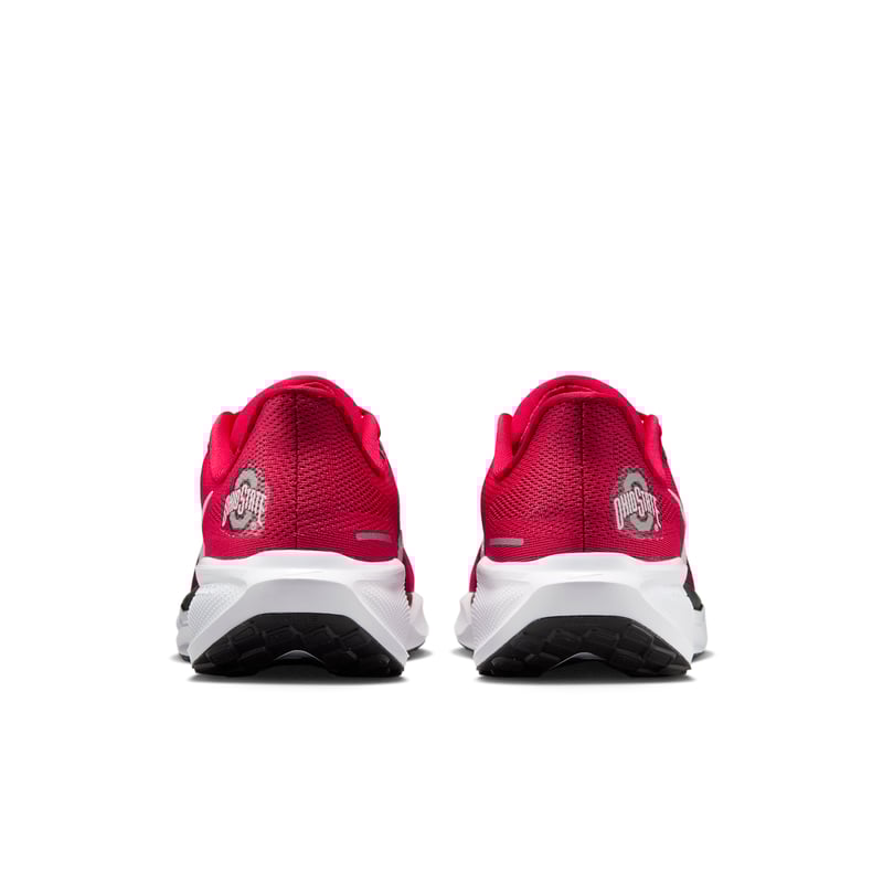 Nike Pegasus 41 IB3254-600 06