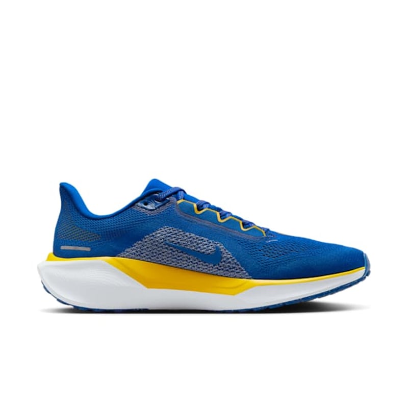 Nike Pegasus 41 FZ5132-400 03