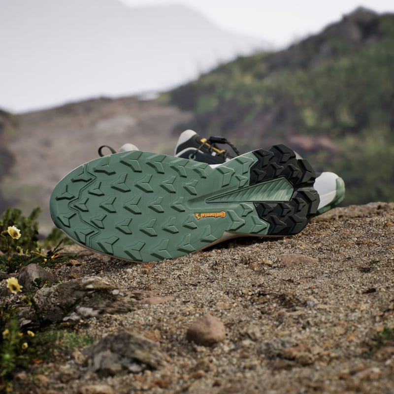 adidas Terrex Trailmaker 2 GORE-TEX x National Geographic JP7064 03