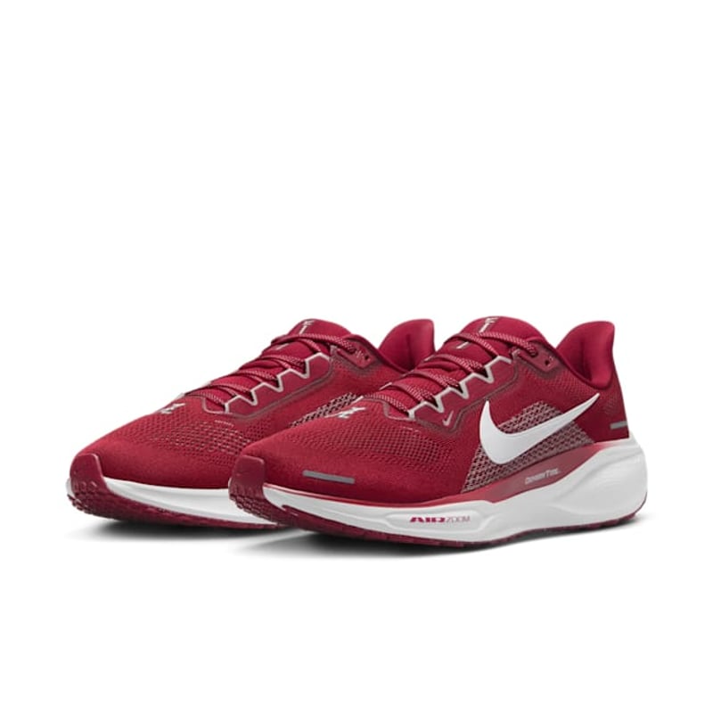 Nike Pegasus 41 FZ5103-600 05