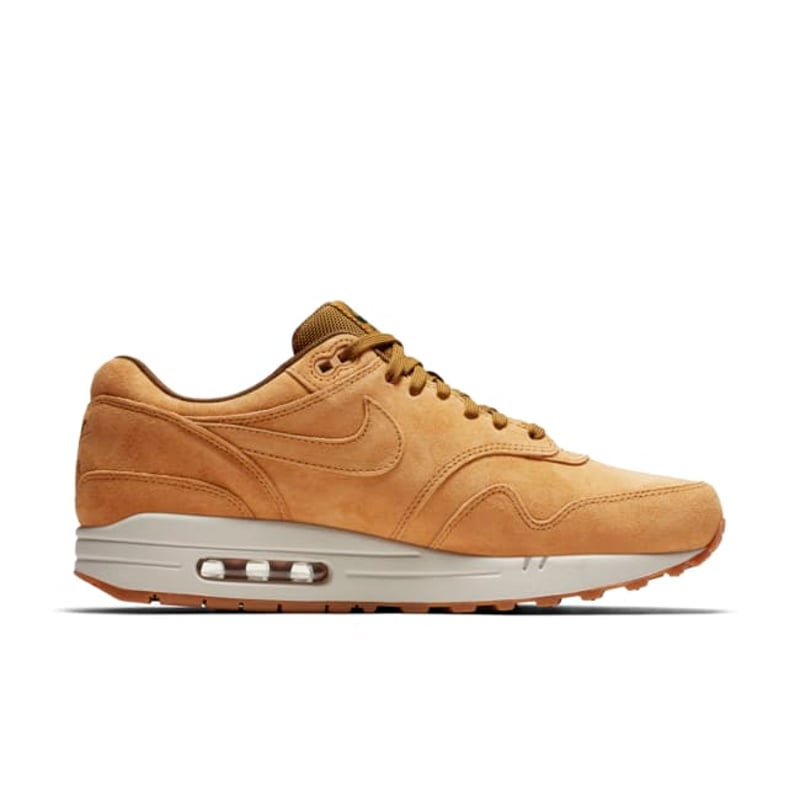 Nike Air Max 1 Premium 875844-701 03