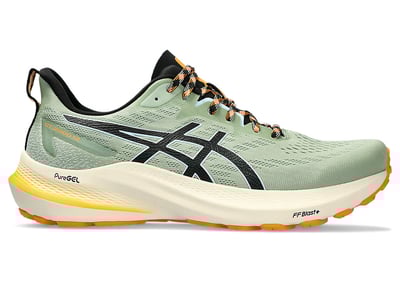 ASICS GT-2000 12 TR 1011B775-250