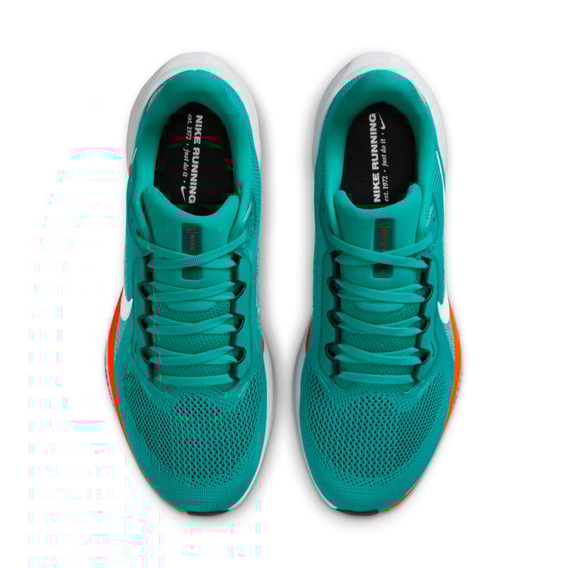 Nike Pegasus 41 x NFL IB3200-300 04