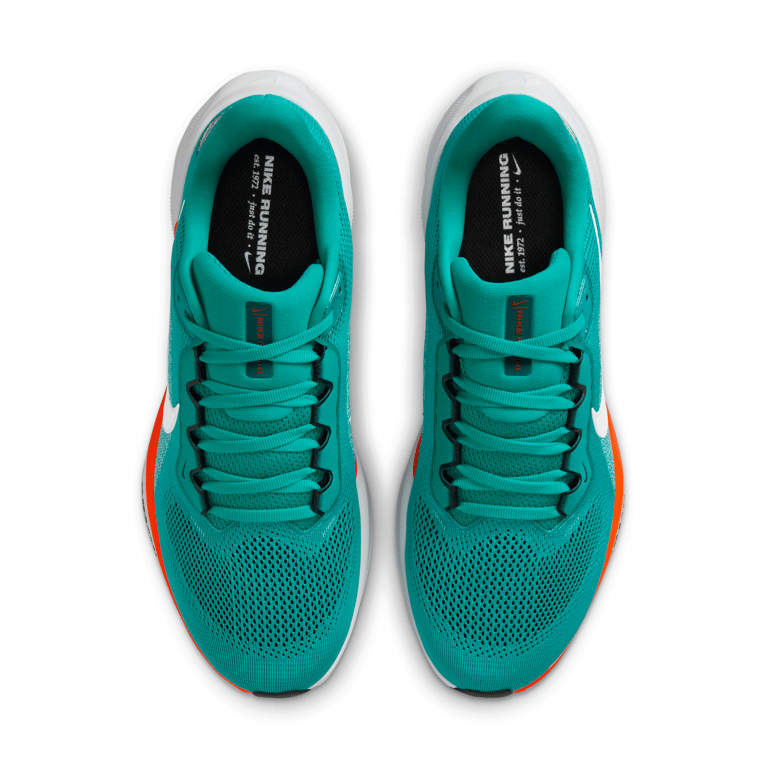 Nike Pegasus 41 x NFL IB3200-300 04