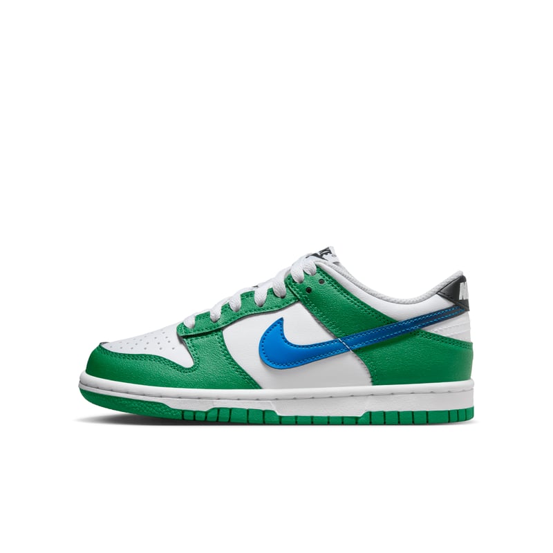 Nike Dunk Low FZ4357-300 01