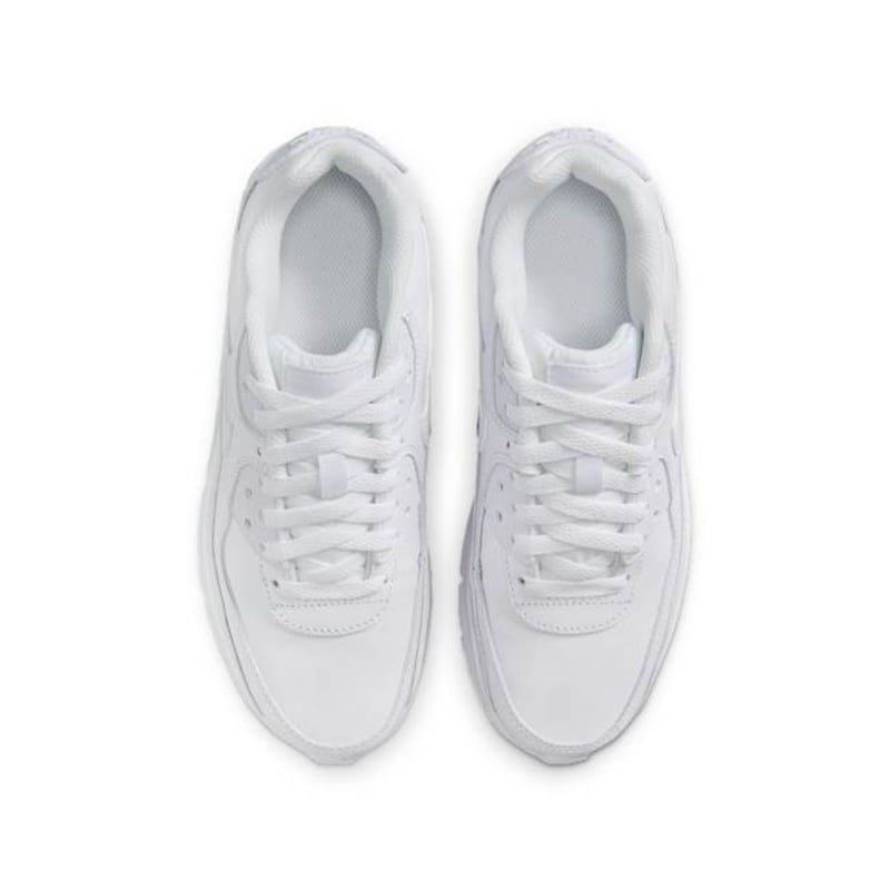 Nike Air Max 90 LTR CD6864-133 04