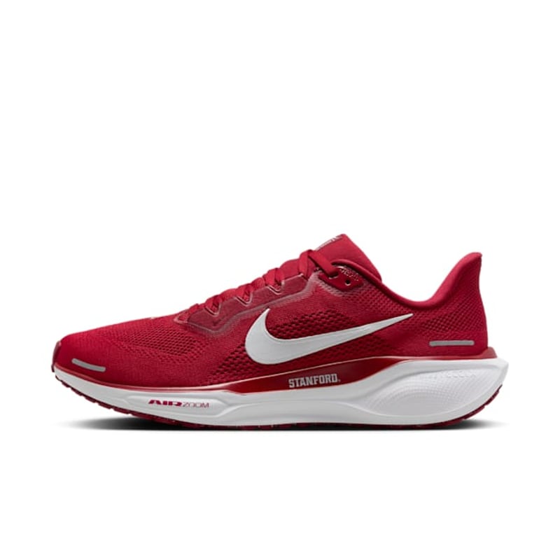 Nike Pegasus 41 FZ5142-600 01