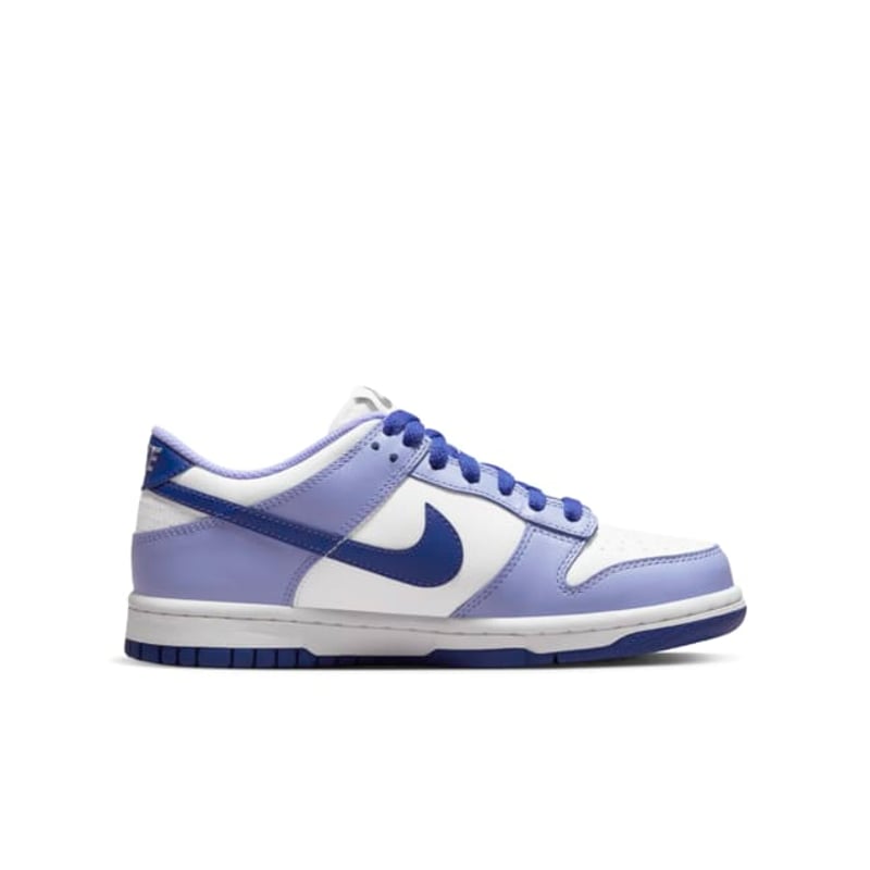 Nike Dunk Low DZ4456-100 03