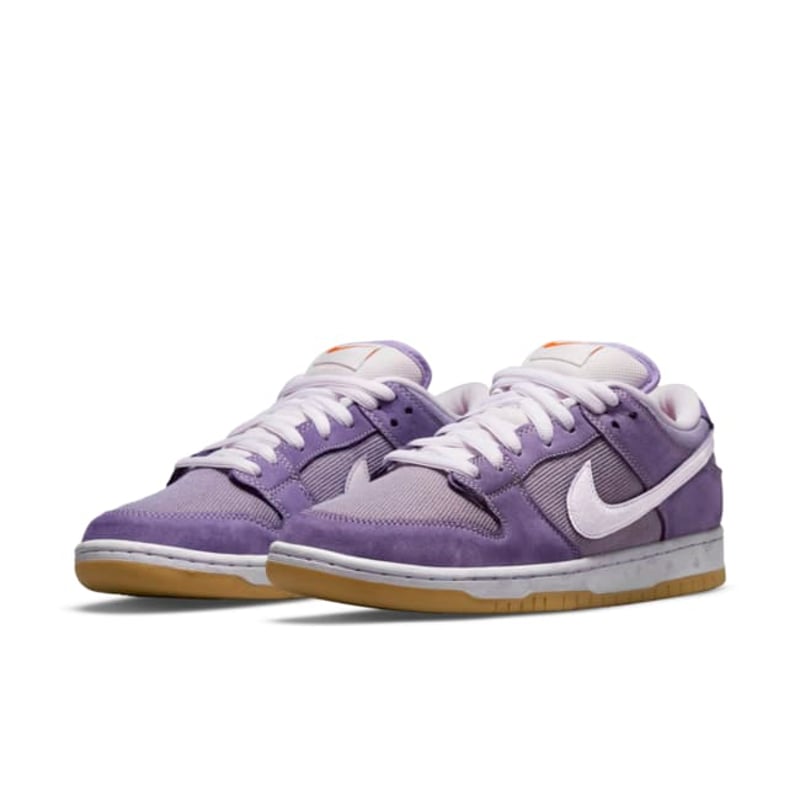 Nike SB Dunk Low DA9658-500 05