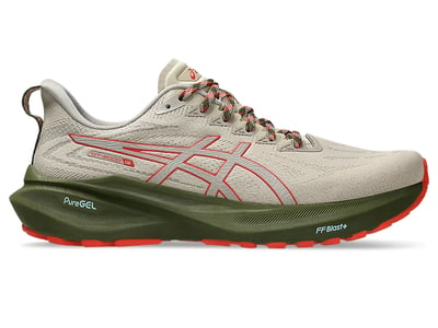 ASICS GT-2000 13 TR 1011B954-300