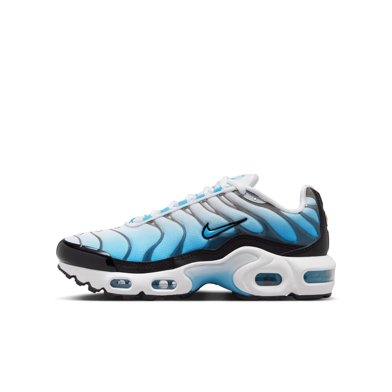 Nike Air Max Plus FD9767-100 01