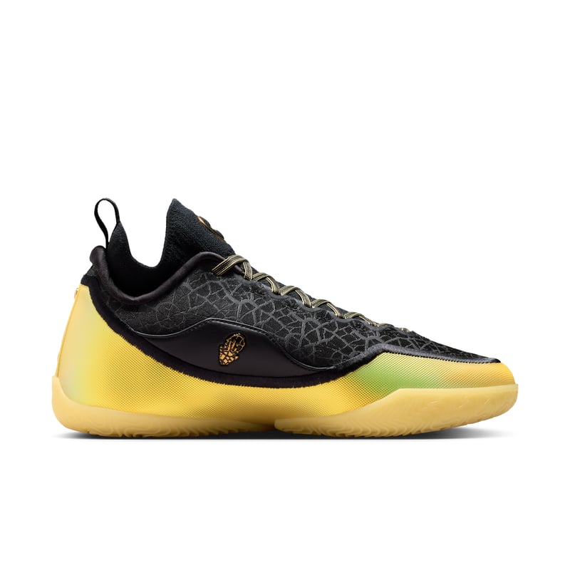 Nike LeBron 23 Elite IB9557-002 03