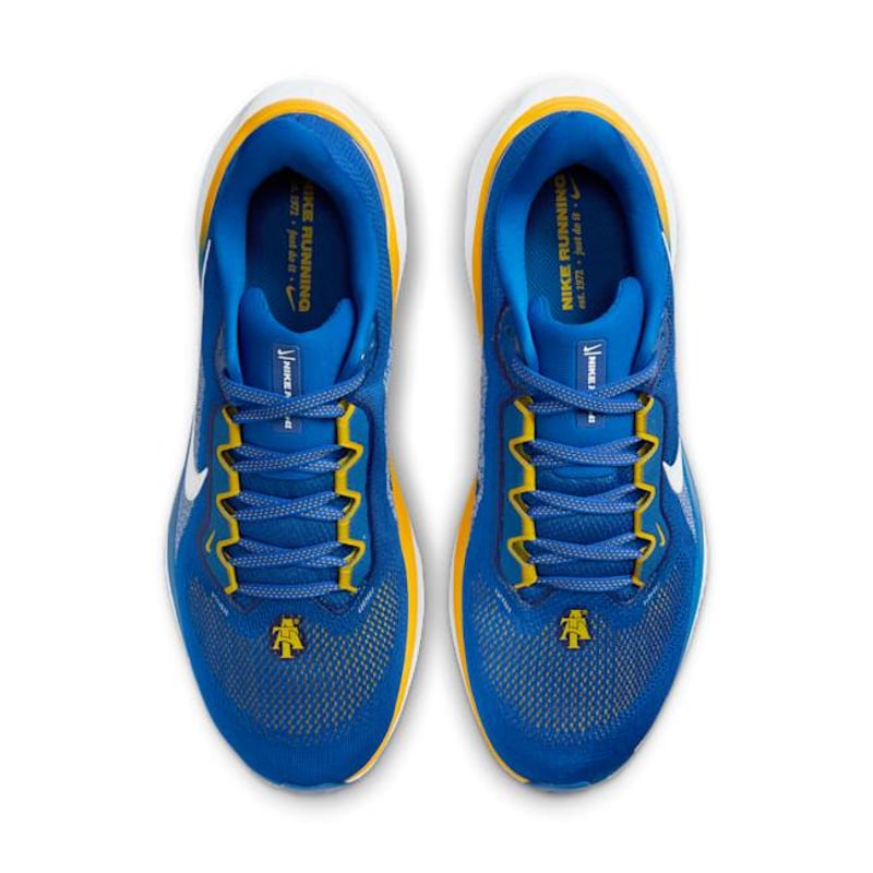 Nike Pegasus 41 FZ5132-400 04