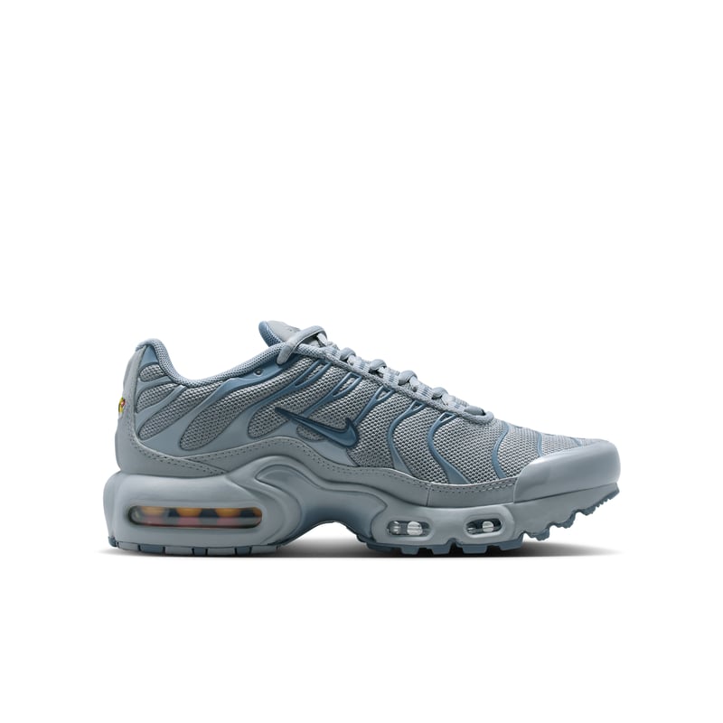 Nike Air Max Plus CD0609-042 03