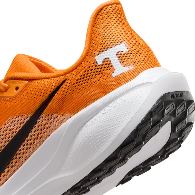 Nike Pegasus 41 IB3253-800 08
