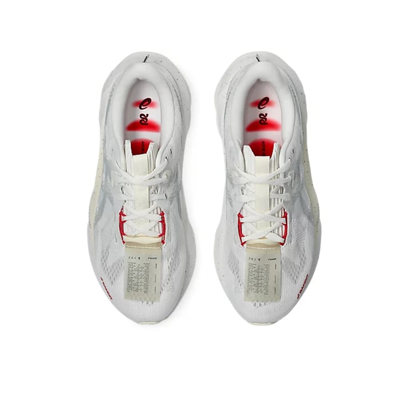 ASICS Novablast 5 x Bandit 1012B895-020 06