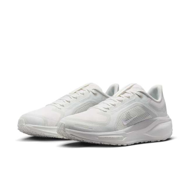 Nike Pegasus 41 GORE-TEX FQ1357-101 05