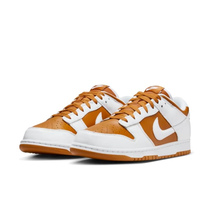 Nike Dunk Low FQ6965-700 05