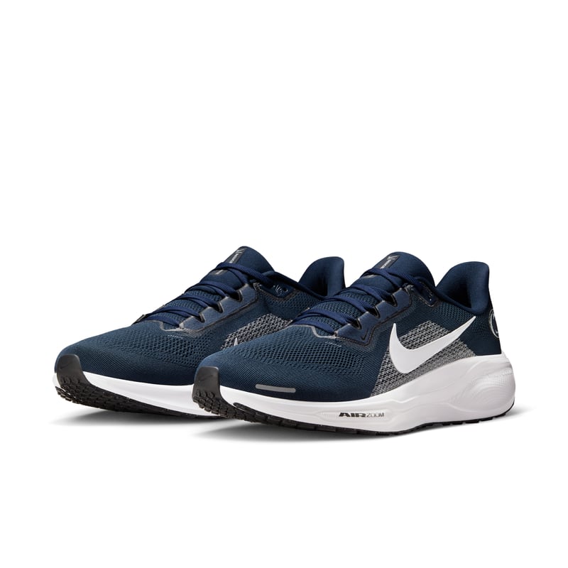 Nike Pegasus 41 IB3258-400 05