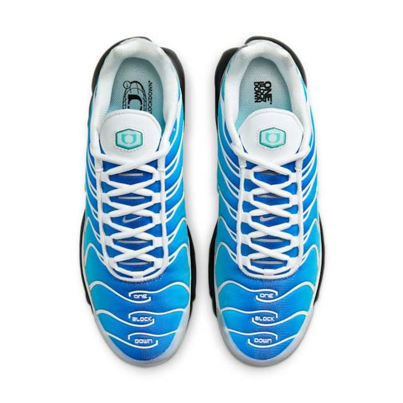 Nike Air Max Plus x One Block Down FZ3308-400 04