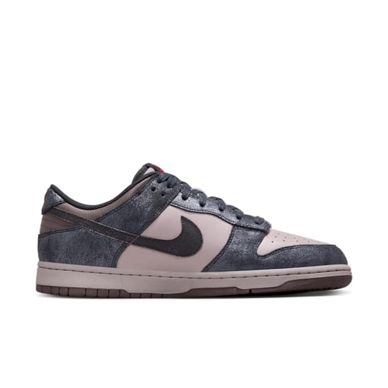 Nike Dunk Low Retro IB2258-001 03