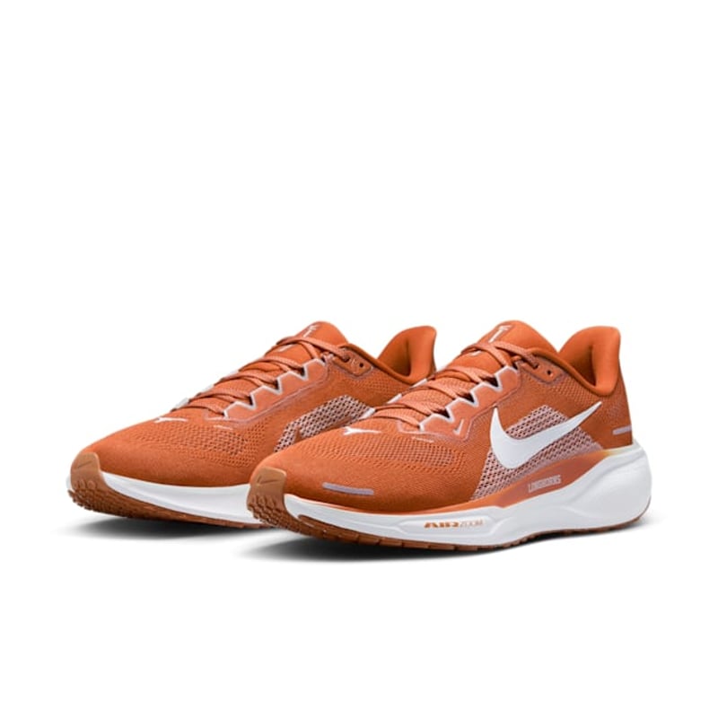 Nike Pegasus 41 FZ5145-800 05