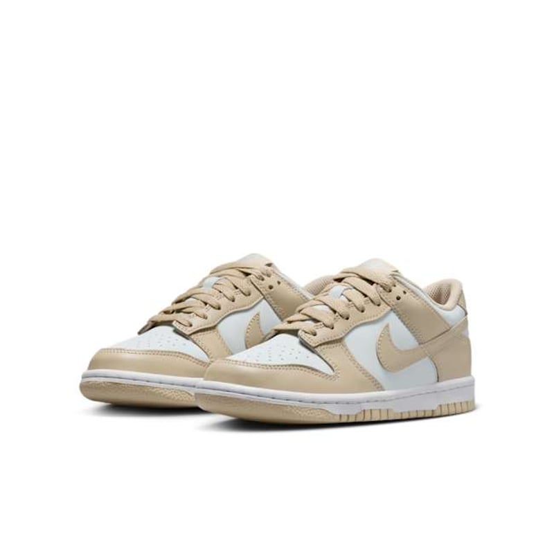 Nike Dunk Low FB9109-200 05