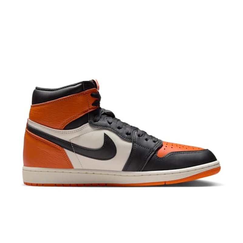 Jordan 1 Retro High OG DZ5485-008 03