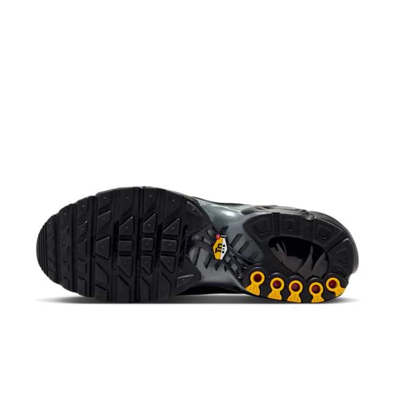 Nike Air Max Plus HV8066-002 02