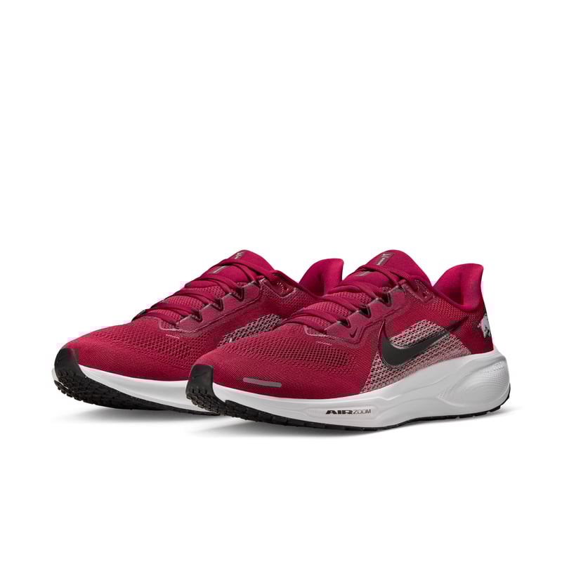 Nike Pegasus 41 IB3246-600 05