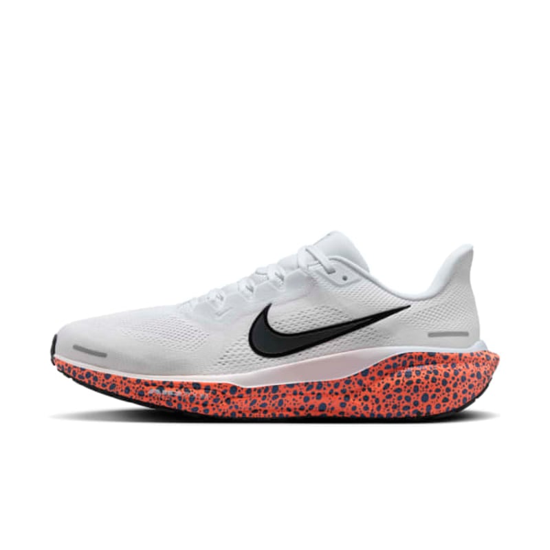 Nike Pegasus 41 FV2229-900 01