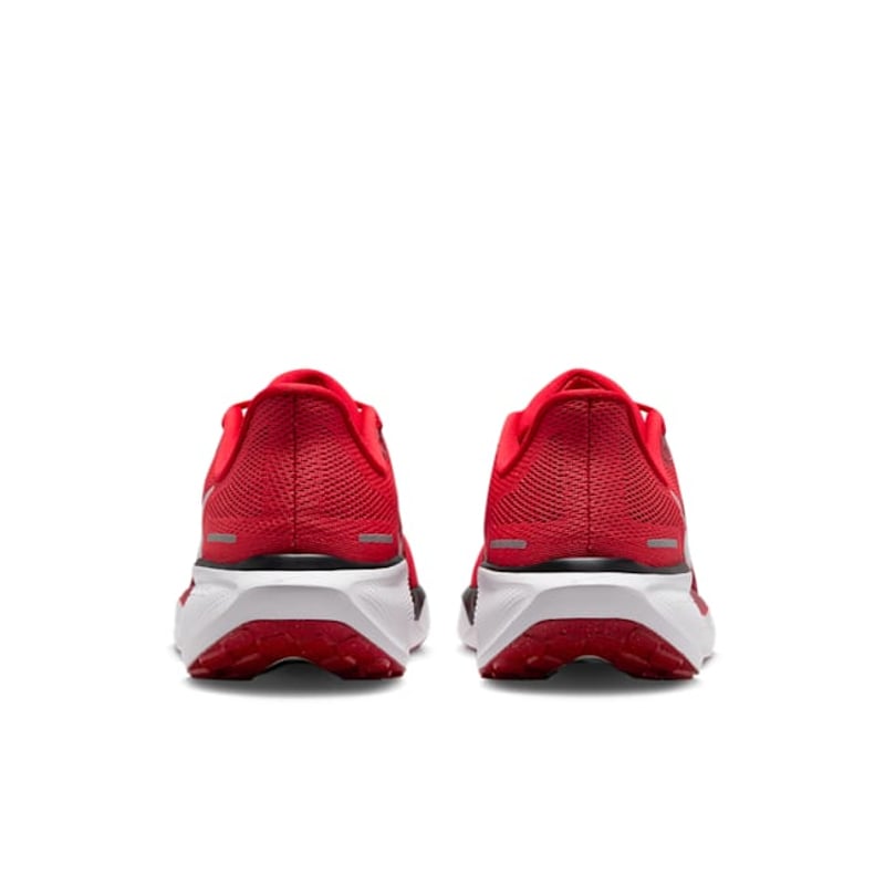 Nike Pegasus 41 FZ5115-600 06