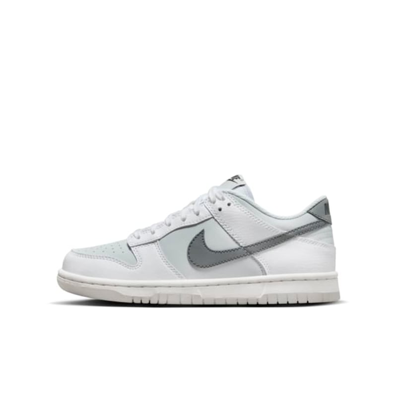 Nike Dunk Low FV0365-100 01