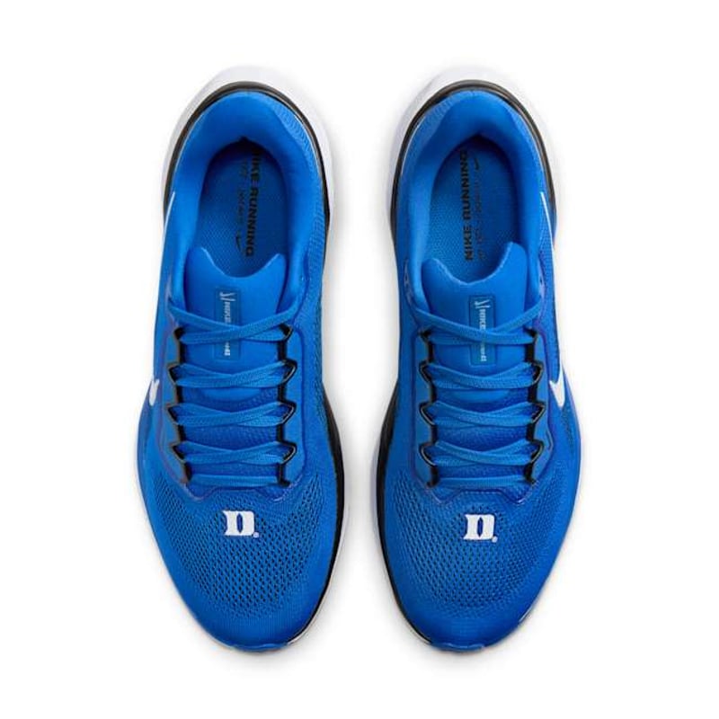 Nike Pegasus 41 FZ5111-400 04