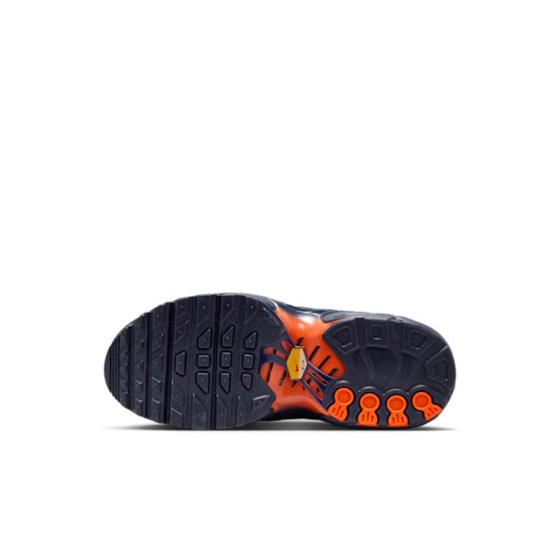 Nike Air Max Plus FZ0023-700 02