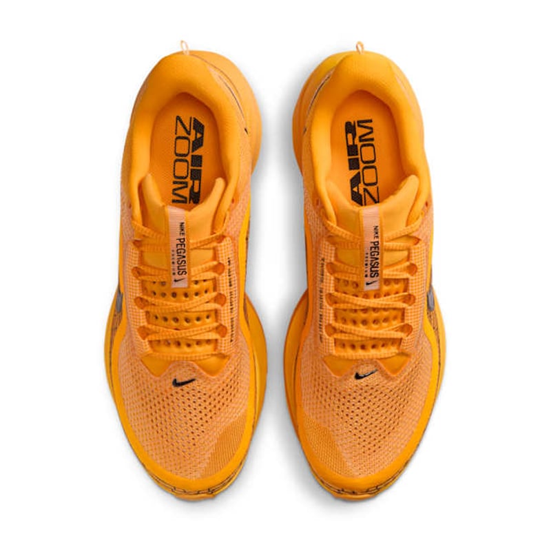 Nike Pegasus Premium IH3256-700 04