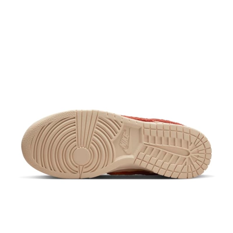 Nike Dunk Low DZ4706-200 02