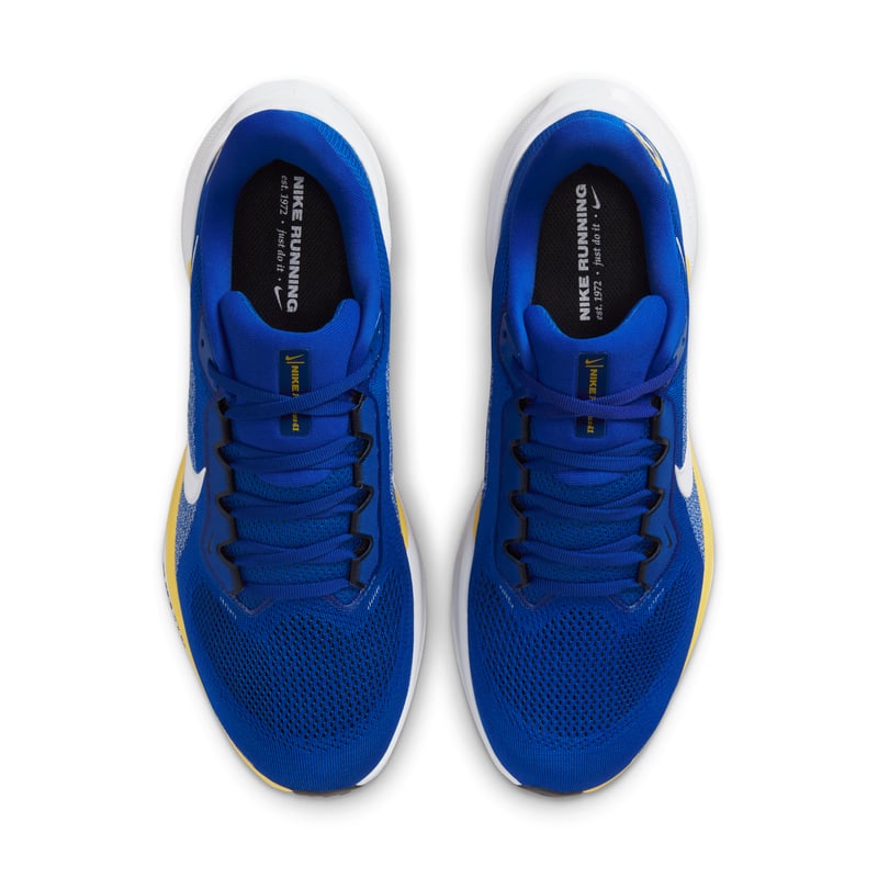 Nike Pegasus 41 x NFL IB3199-400 04