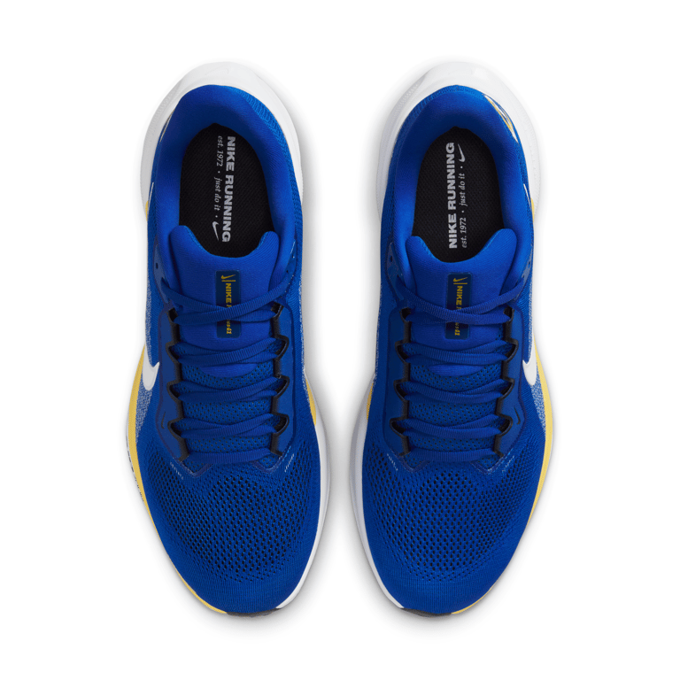 Nike Pegasus 41 x NFL IB3199-400 04
